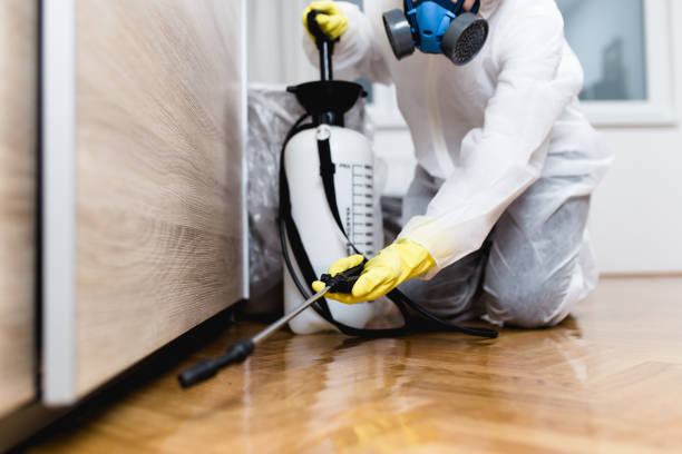 Best Flea Control Services  in Lake City, PA