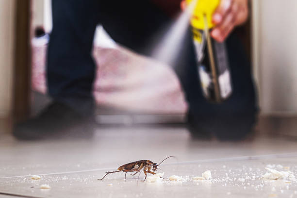 Reliable Lake City, PA Pest Control Solutions